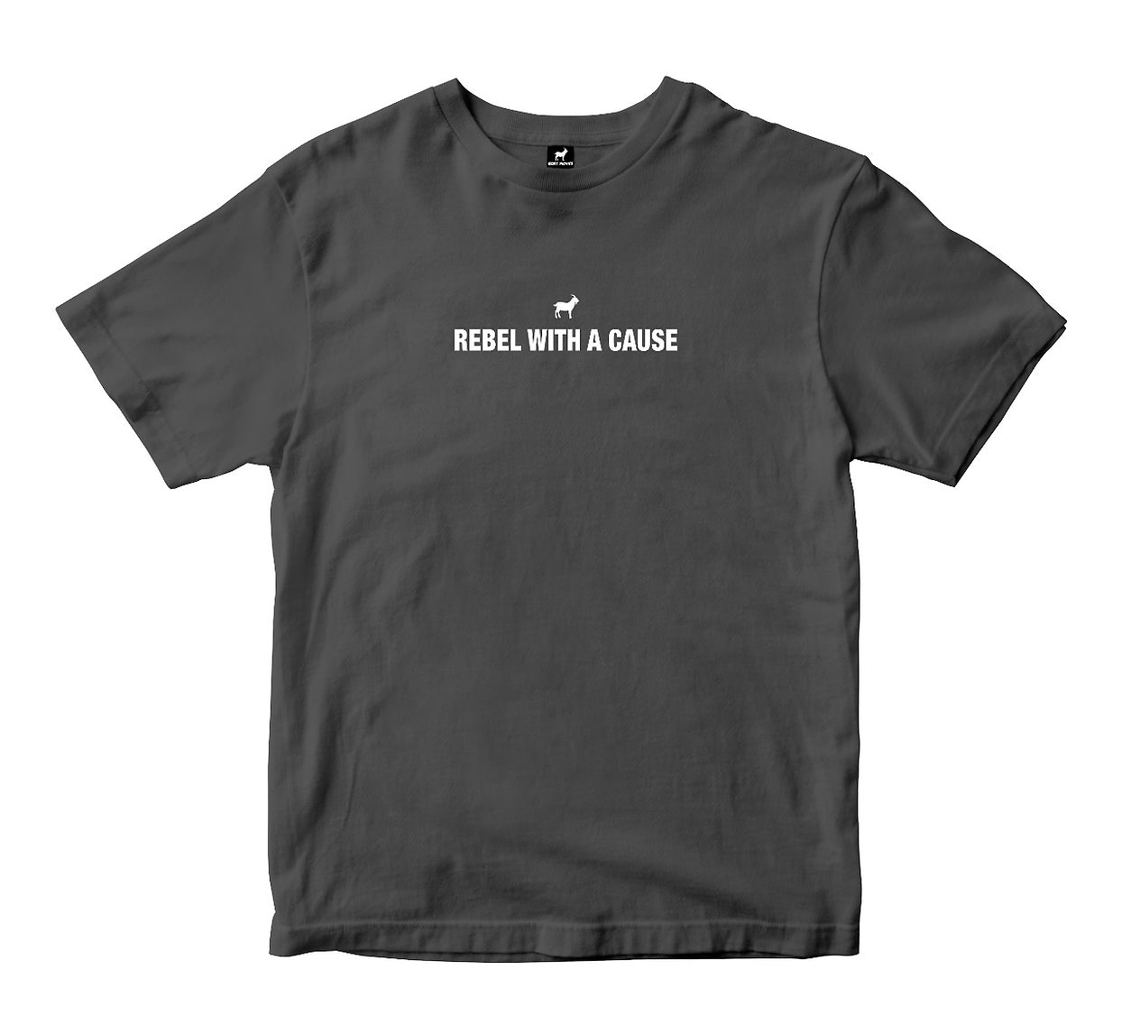 Rebel With a Cause